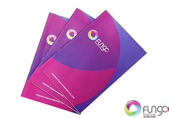 企業(yè)畫(huà)冊(cè)印刷